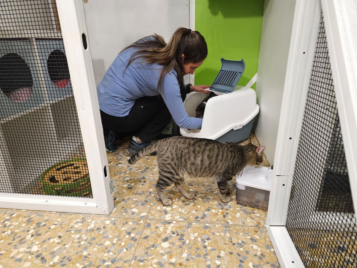 Ospite della pensione, cure personalizzate: bagno (foto 1 di 2)