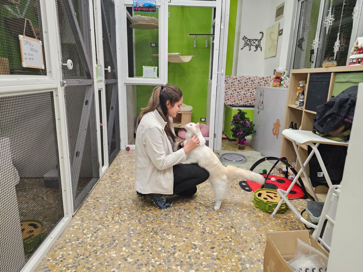 Ospite della pensione, cure personalizzate: coccole (foto 1 di 2)