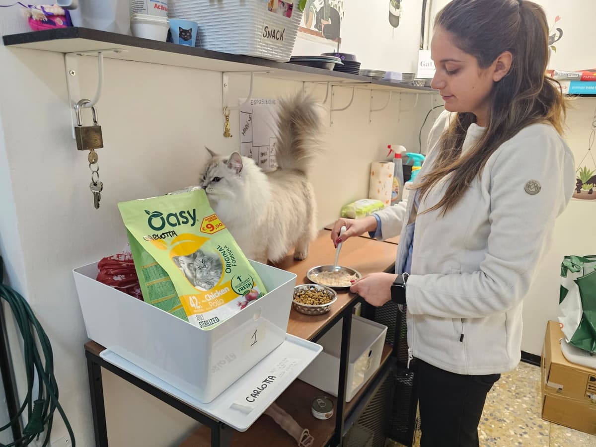Ospite della pensione, cure personalizzate: mangiare (foto 1 di 2)