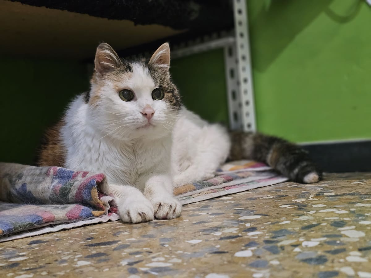 Minu', 21 anni